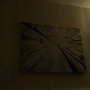 Meet your Posher, Robyn